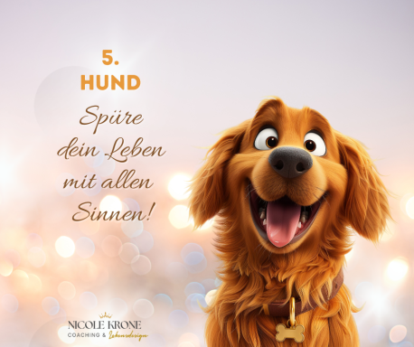 Lustiger Hund mit breitem Grinsen und dem Text: "Spüre dein Leben mit allen Sinnen!"