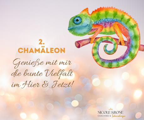 Buntes Chamäleon auf einem Ast mit dem Text: "Genieße die bunte Vielfalt!"